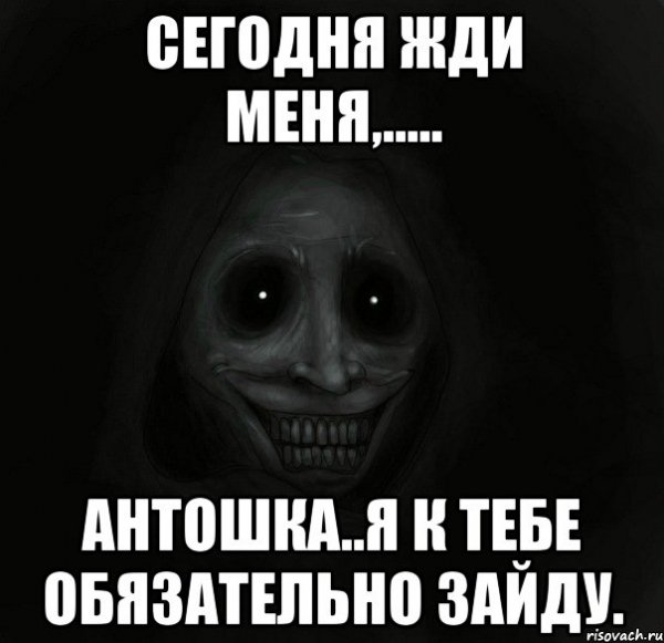 Стихи про Антошку прикольные