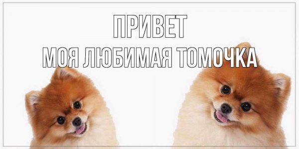 Анютка Вселенная