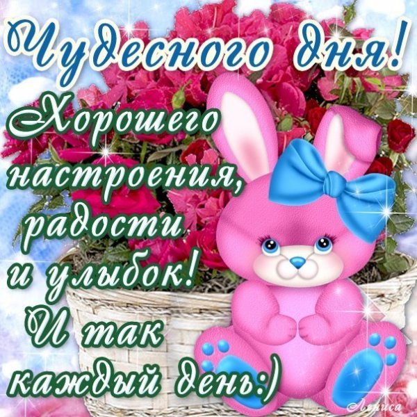 Паша лох