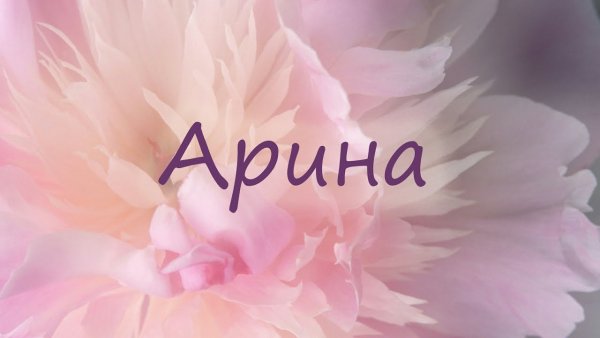 Розовая надпись привет