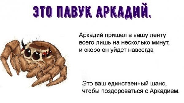 С днем рождения Аркадия