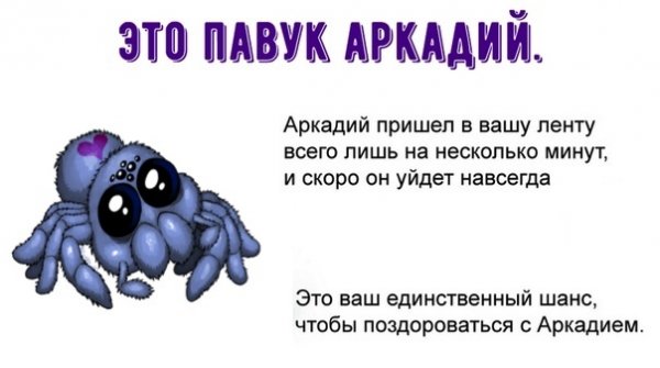 Аркаша Мем