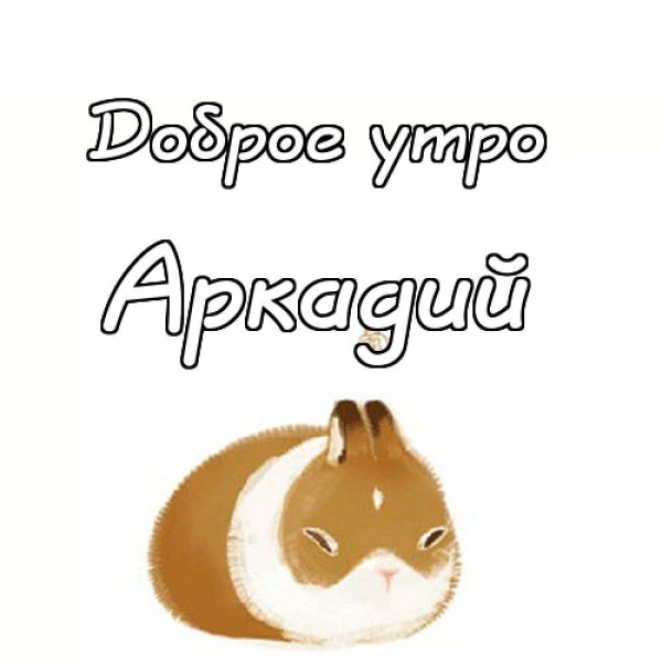 Аркаша Мем