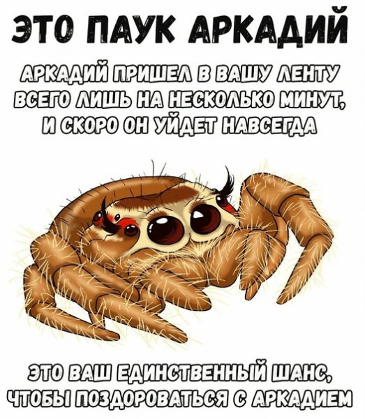 Доброе утро котик мой