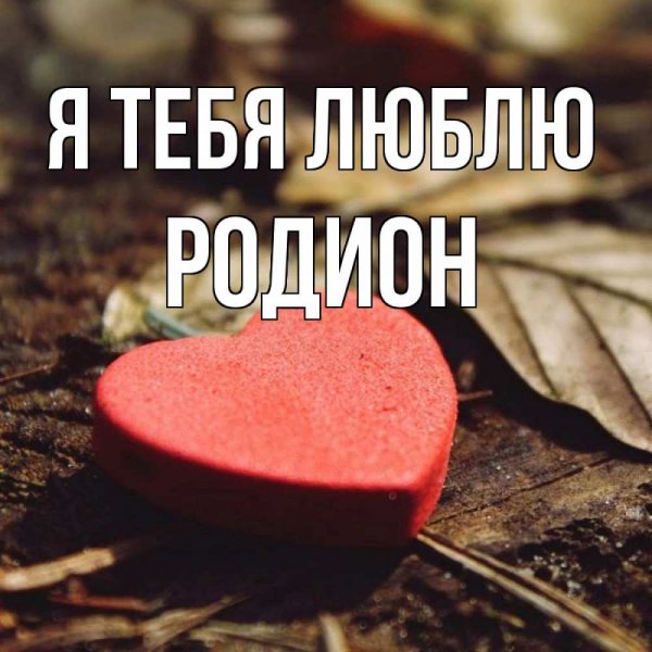 Люблю тебя любимый