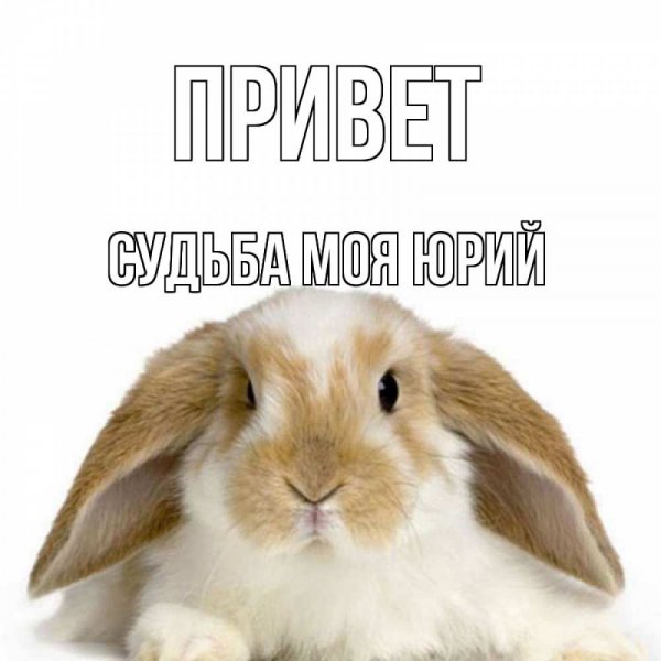 Привет Юрочка
