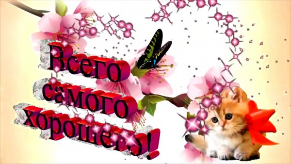 Гордей имя