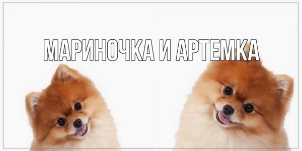 Открытки привет