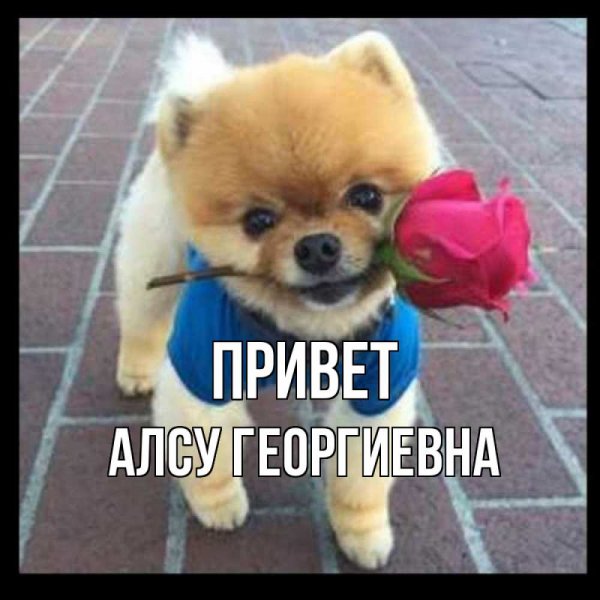 Алсу Исламова фотосессия