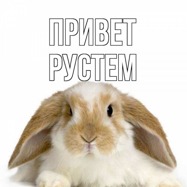 Рустем имя картинки