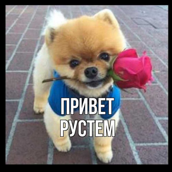 Ди Каприо красавчик Мем