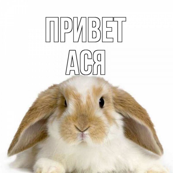 Сердечко с надписью я тебя люблю