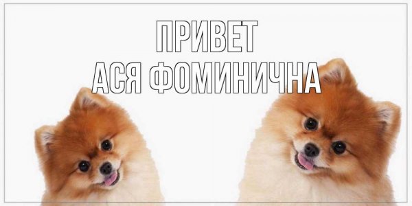 Моя Анна