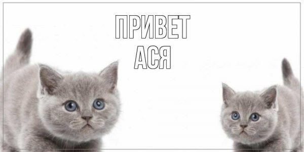 Привет, как зовут, сколько лет?