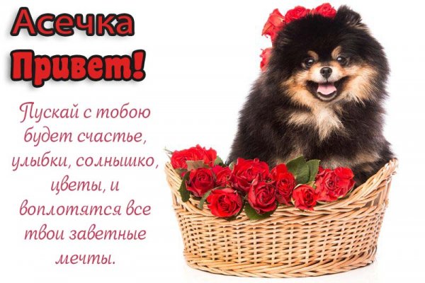 Поздравления с днём рождения асе