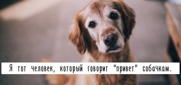 Приветствие рисунок