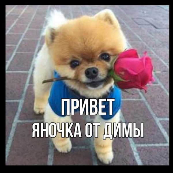 Надпись Яночка