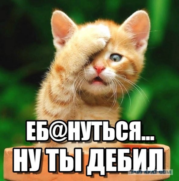 Ну ты дебил