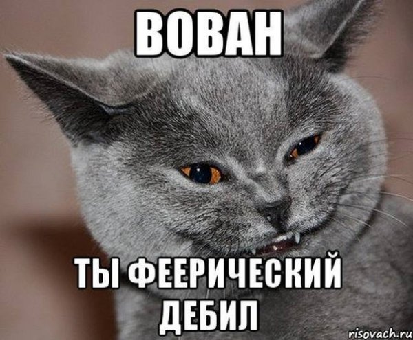Володя дебил