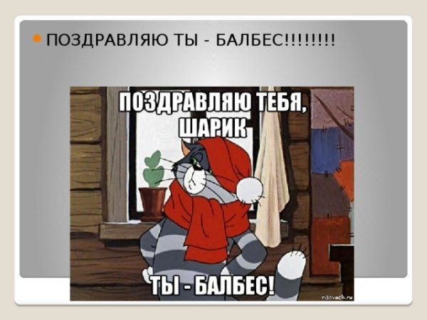 Шарик ты балбес