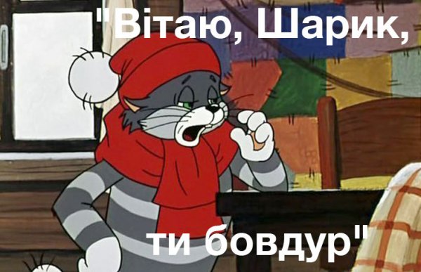 Поздравляю шарик ты балбес