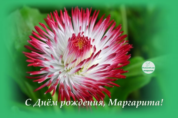 Gif анимация цветы маргаритки