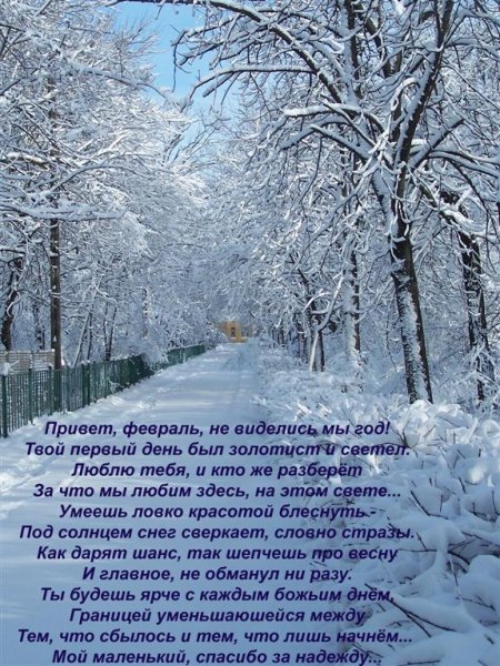 Февраль последний зимний месяц