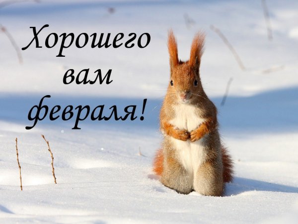 Хорошего февраля