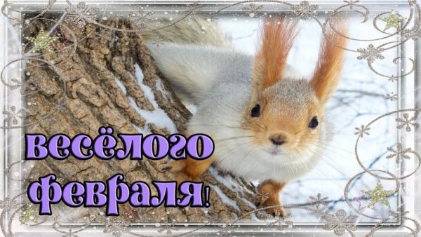 Привет февраль