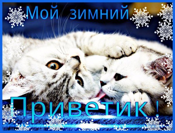 Февральский приветик