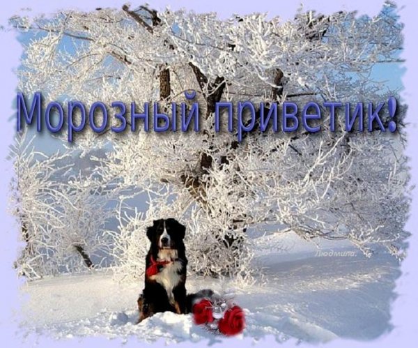 Открытки февральский приветик