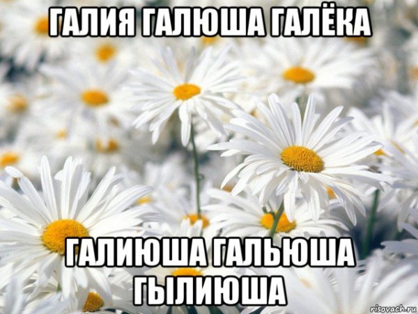 Елена Васильевна с днем рождения
