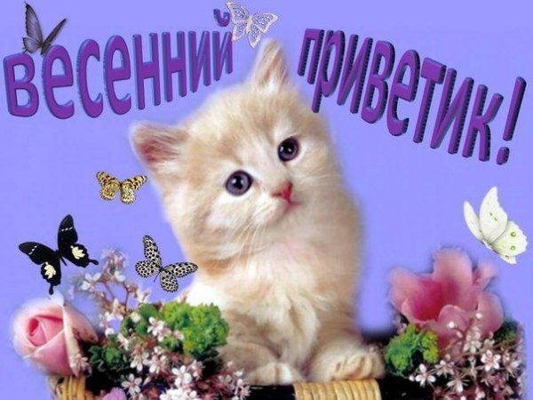 Открытки весенний приветик