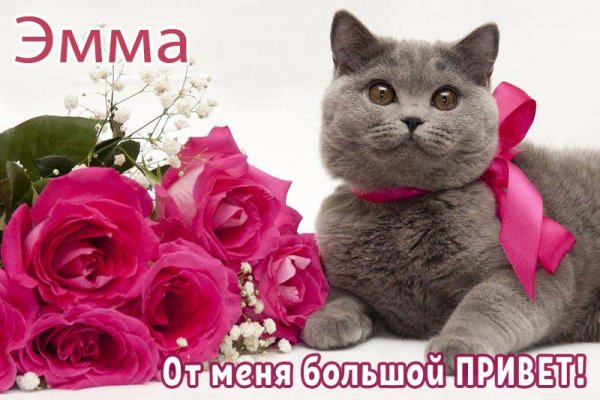 Доброе утро Мария