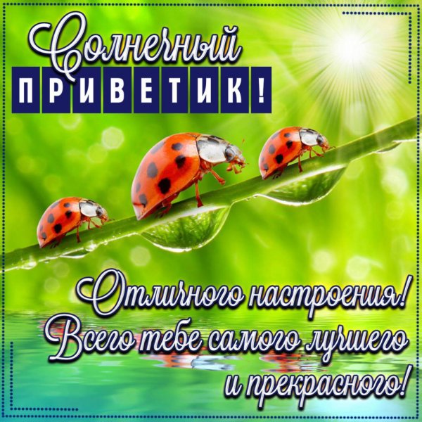 Привет хорошего дня