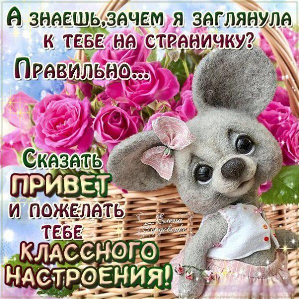 Открытки с приветствием и пожеланием хорошего дня