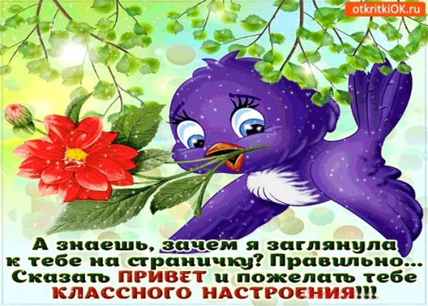 Открытки с приветствием и пожеланием хорошего дня