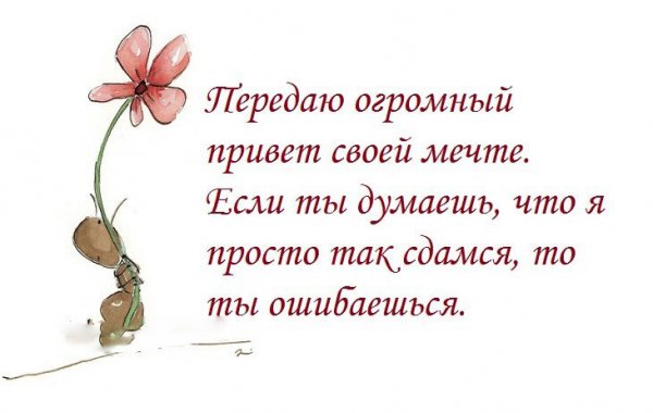 Передаю привет своей мечте