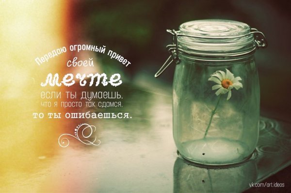 Веселые летние открытки