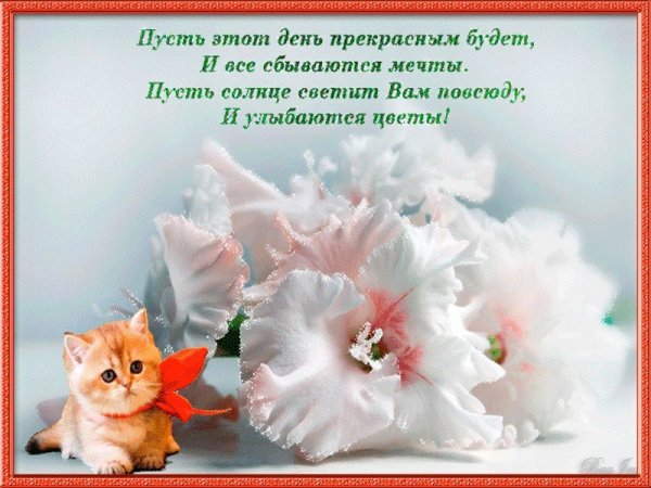 Пусть мечты сбываются