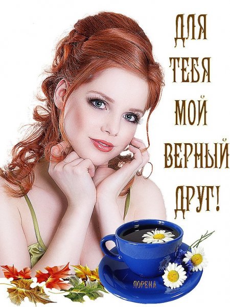Добрый день милый