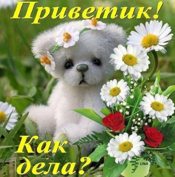 Открытки как дела
