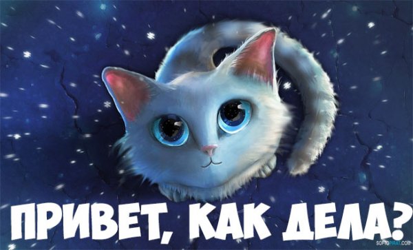 Привет как дела