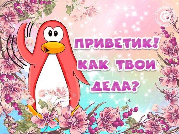 Привет как дела картинки