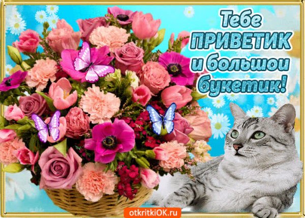 Цветочный привет от меня
