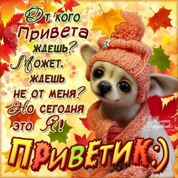 Открытки с Приветствие прикольные парню