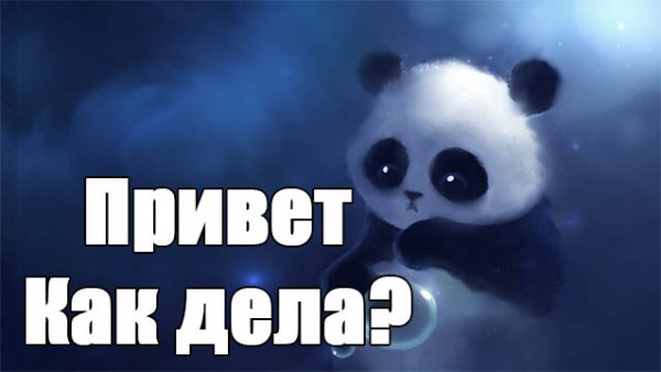 Картинки привет как дела прикольные