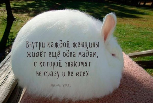 Смешные надписи для поднятия настроения