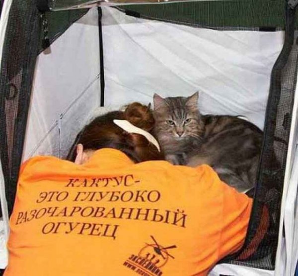 Приколы с надписями