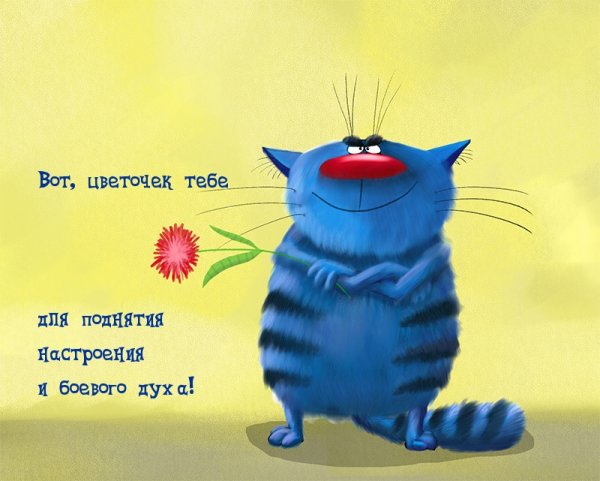 Открытки для поднятия настроения девушке